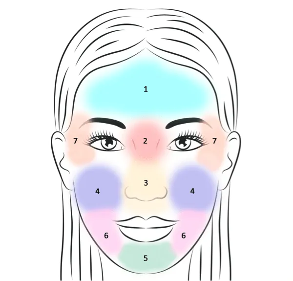 La cartographie du visage : La solution pour une belle peau. - LAZEO